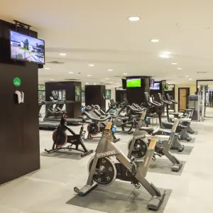 Gymnasium